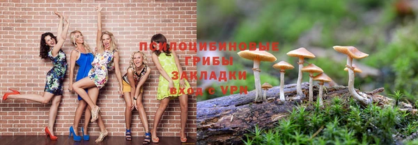 гашиш Бородино