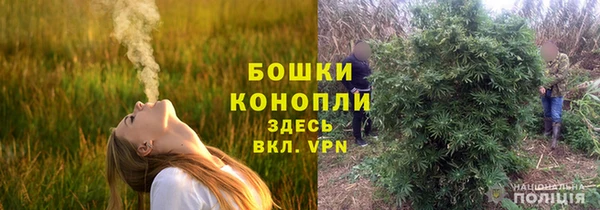 экстази Богородицк