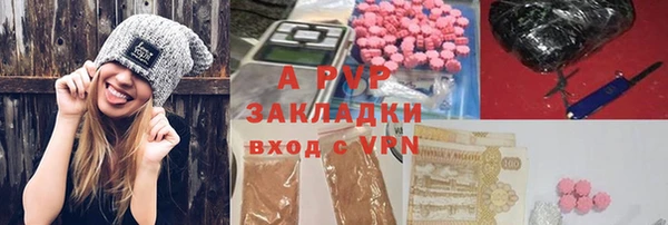 ПСИЛОЦИБИНОВЫЕ ГРИБЫ Белокуриха